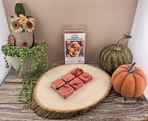 Fall-themed display with orange cranberry spice wax melts, decorative pumpkins, and a plant on a wooden surface.